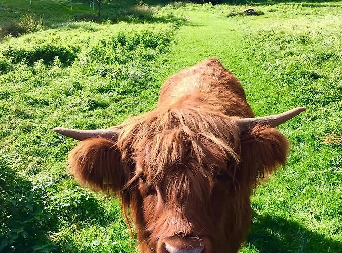 Schloesslesmuehle Zajazd *